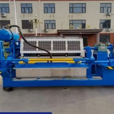 Egg Tray Machine Selection Guide: Rational Adaptation by Geographic Environment